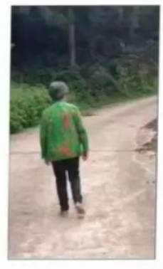 走失者照片 孝感市寻人：八旬老太走失，穿绿色带...