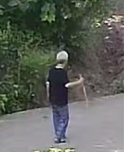 走失者照片 眉山市寻人：七旬老太走失，患阿尔茨...