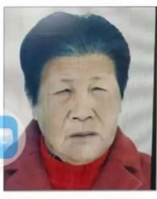 走失者照片 孝感市寻人：八旬老太走失，穿绿色带...