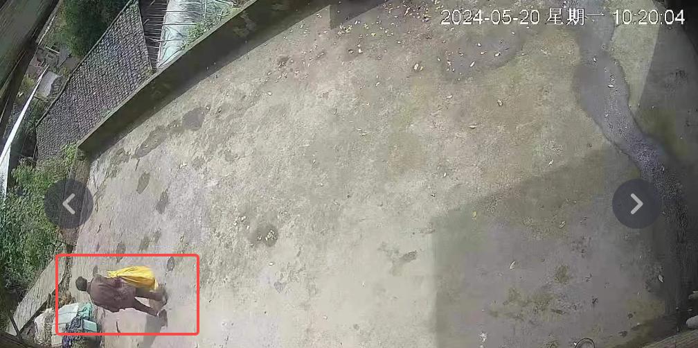 走失者照片 重庆市寻人：七旬老太走失，患精神障...