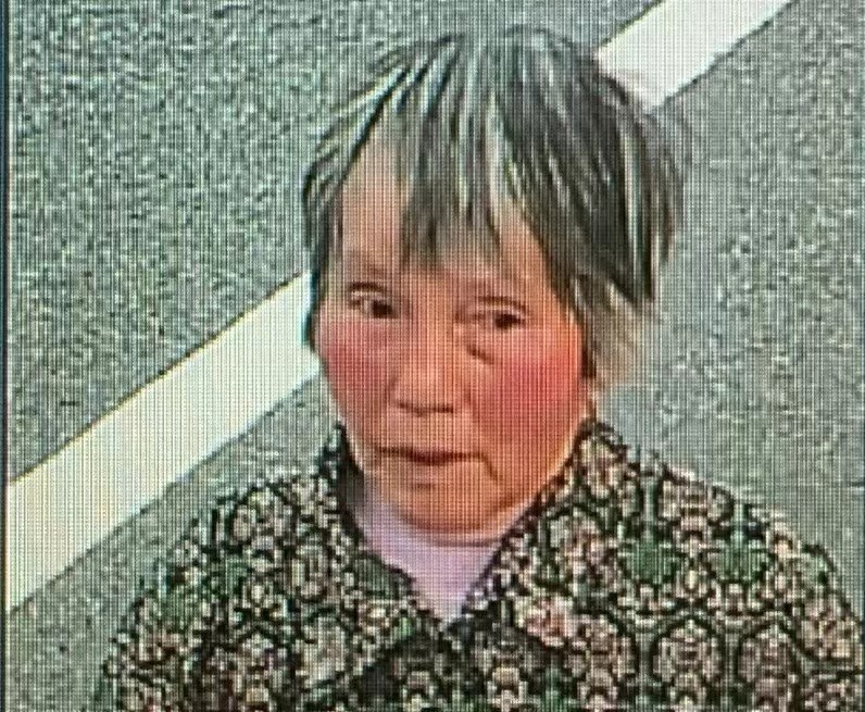 走失者照片 绍兴市诸暨市寻人：七旬老太走失，穿...