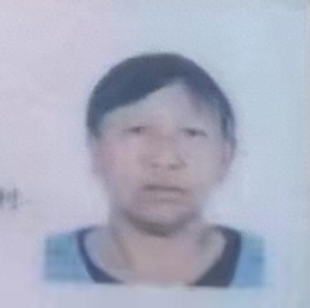 走失者照片 鹤壁市寻人：六旬老太走失，扎辫子，...