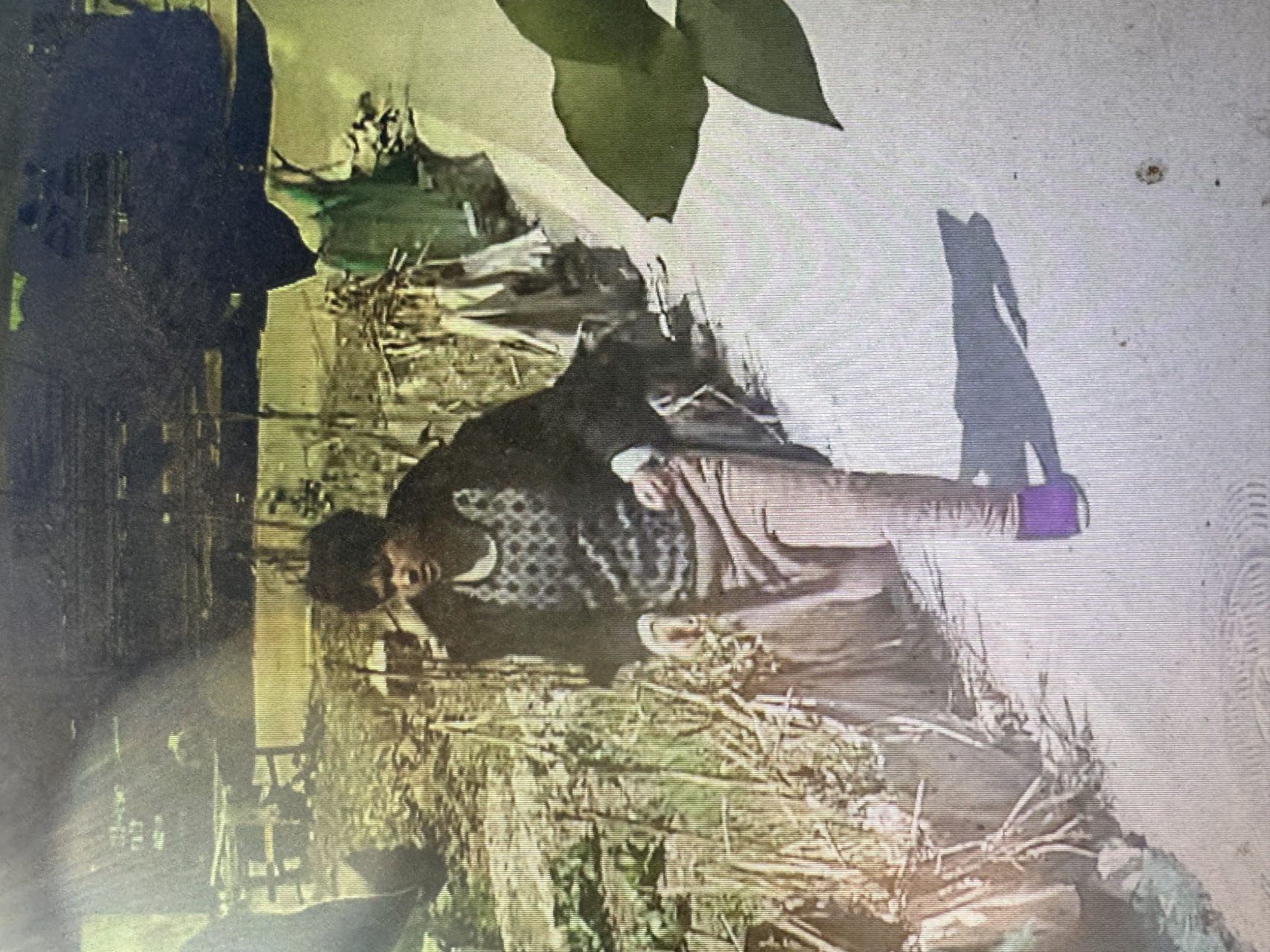 走失者照片 合肥市寻人：17岁男孩走失，穿黑色...
