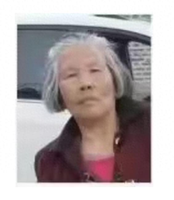 走失者照片 吉安市寻人：七旬老太走失，穿紫底红...
