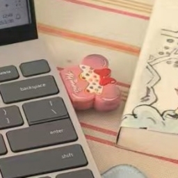 走失者照片 粉色米奇U盘