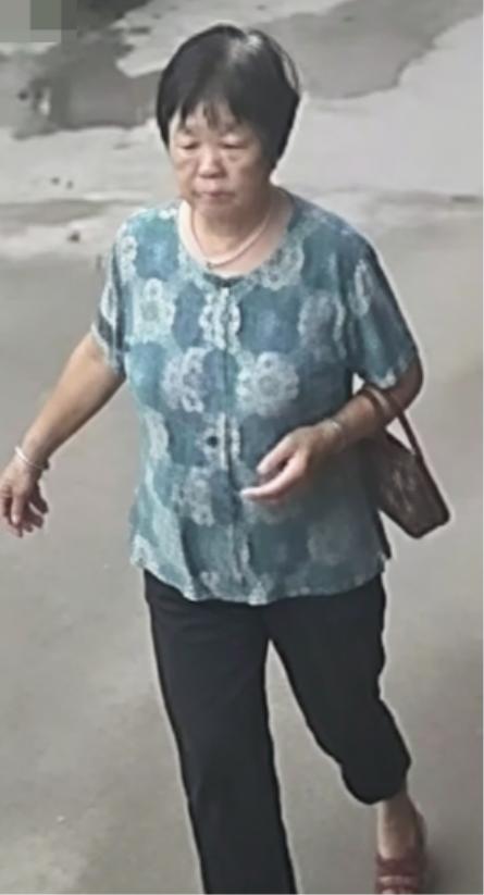 走失者照片 揭阳市普宁市寻人：七旬老太走失，穿...