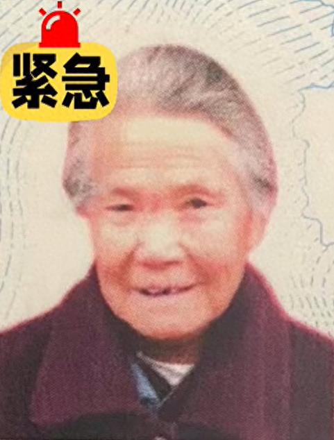 走失者照片 湖北省仙桃市寻人：九旬老太走失，高...
