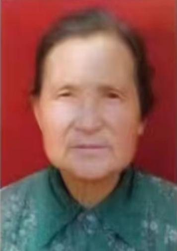走失者照片 三门峡市寻人：八旬老太走失，高1米...