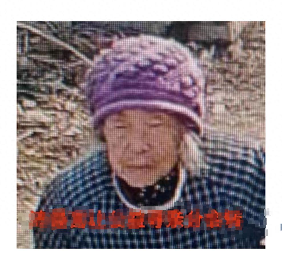 走失者照片 徐州市寻人：九旬老太走失，系蓝色格...