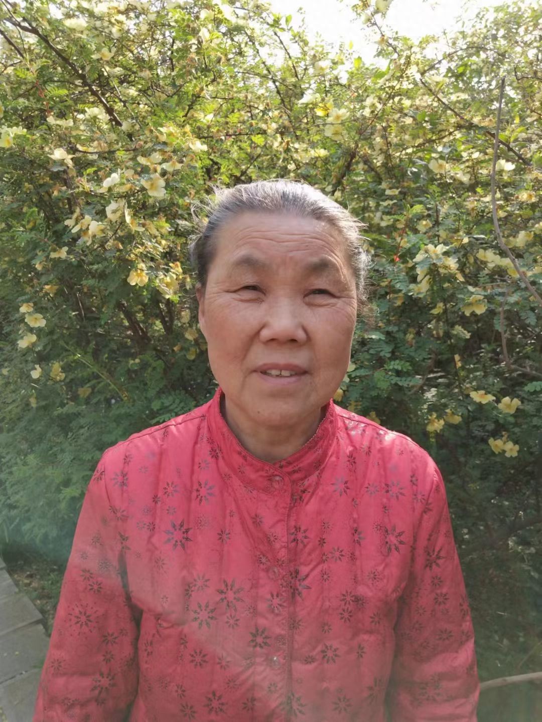走失者照片 安阳市寻人：七旬老太走失，穿粉色衣...
