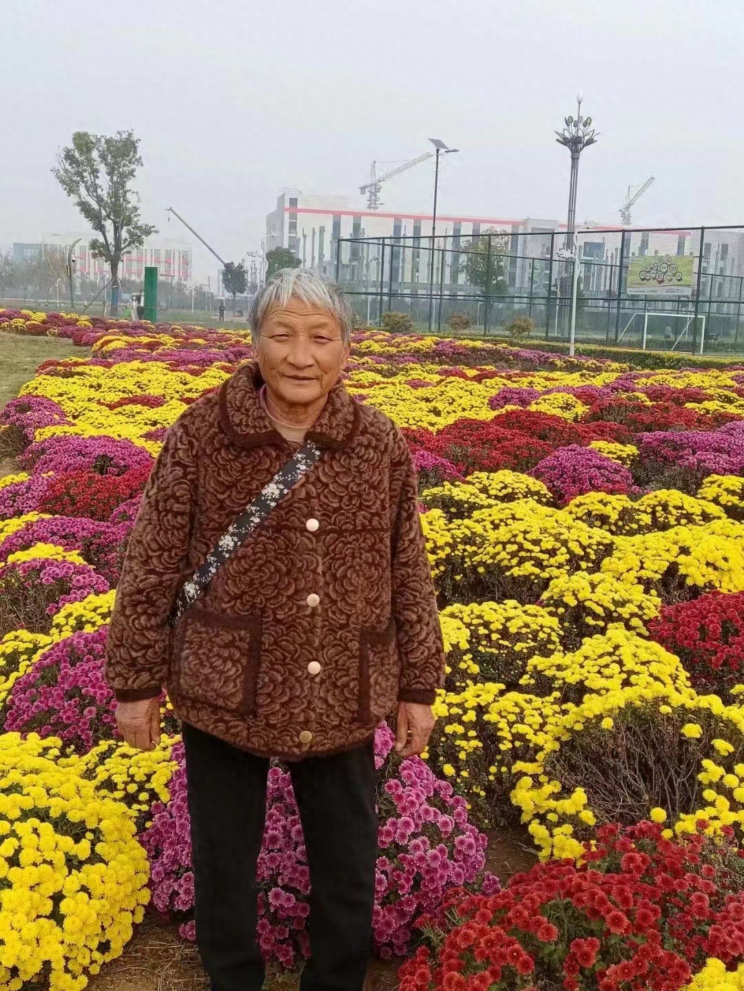 走失者照片 漯河市急寻：七旬老太走失，患小脑萎...