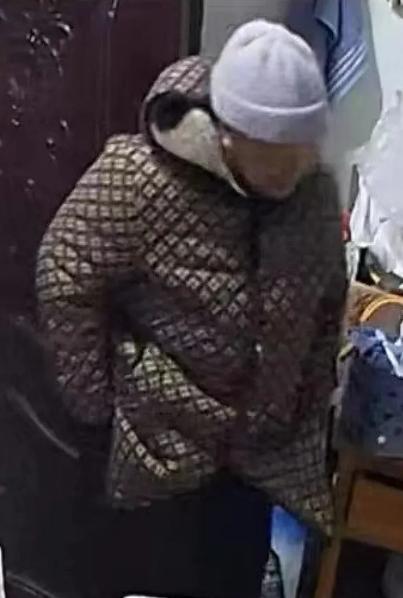 走失者照片 驻马店市寻人：五旬女子走失，戴灰色...