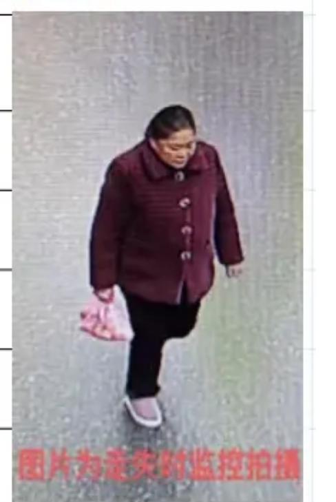 走失者照片 萍乡市寻人：六旬老太走失，穿红色呢...