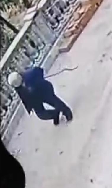 走失者照片 巴中市寻人：八旬老人走失，穿蓝色上...