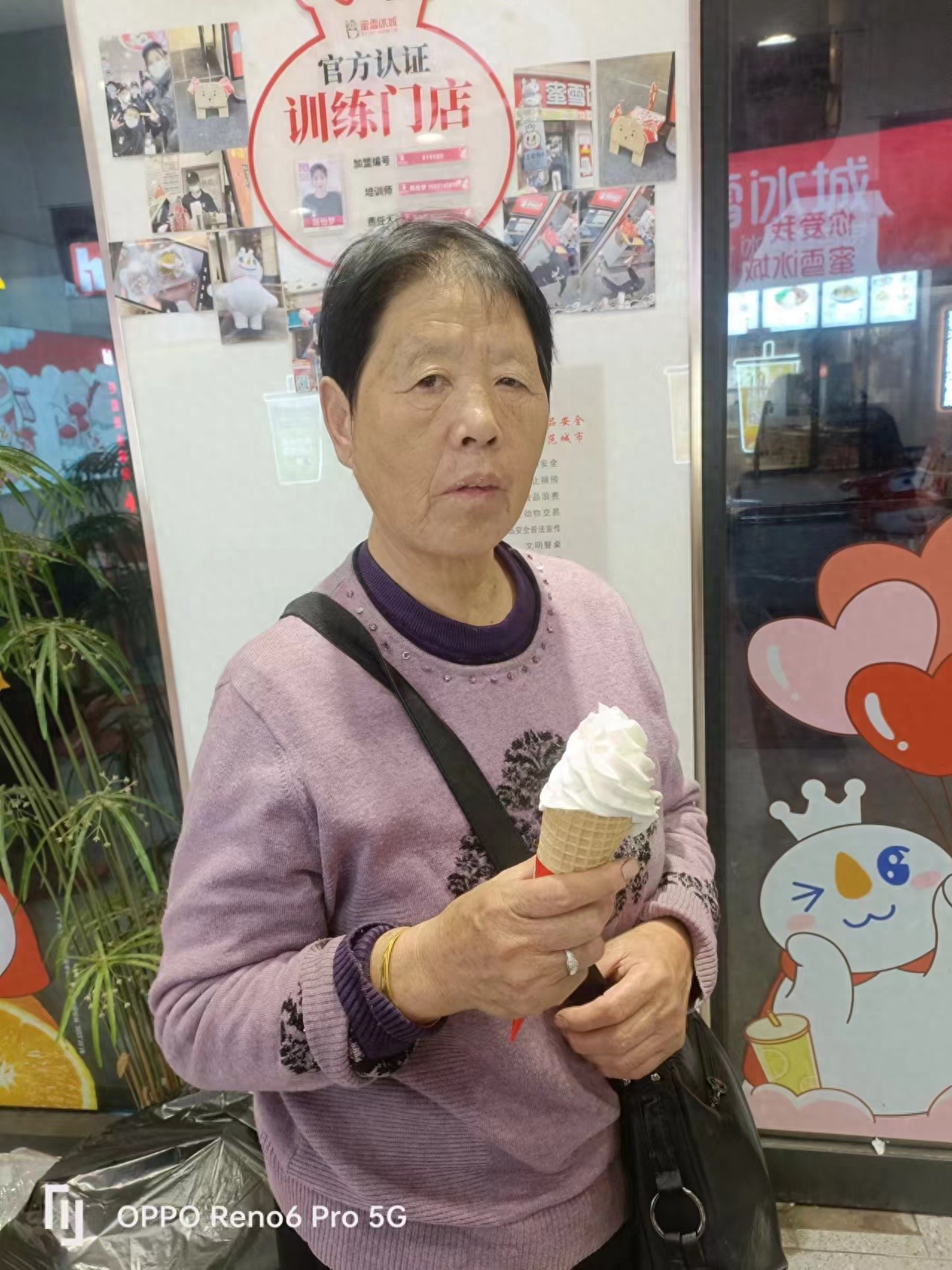 走失者照片 许昌市寻人：七旬老太走失，穿紫色毛...