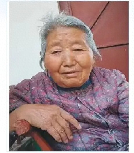 走失者照片 南阳市寻人：八旬老太走失，穿红色上...