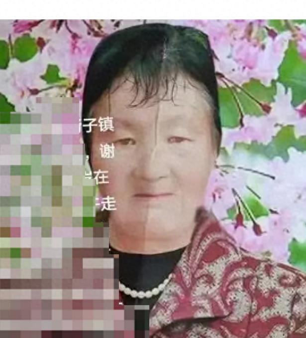 走失者照片 汉中市寻人：七旬老太走失，穿浅紫色...