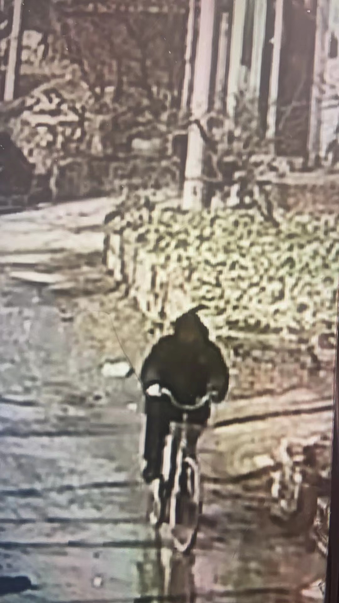 走失者照片 安阳市寻人：七旬老人走失，骑自行车...