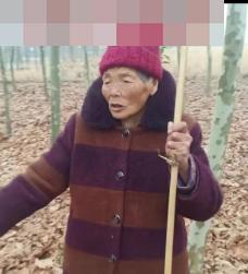 走失者照片 信阳市寻人：八旬老太走失，高1米6...