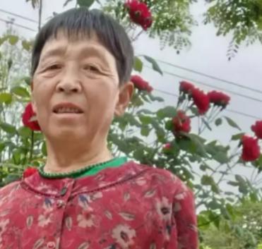 走失者照片 西安市寻人：七旬老太走失，患小脑萎...