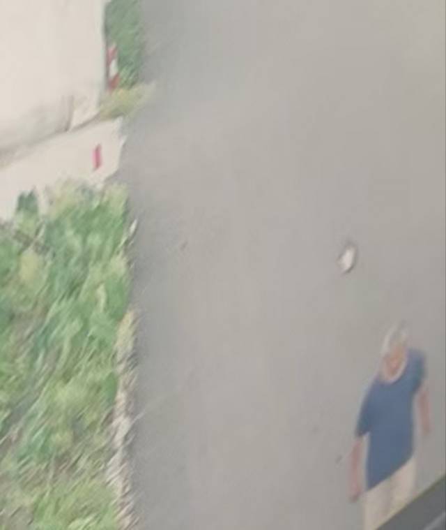 走失者照片 若有线索，麻烦联系，必有重谢！