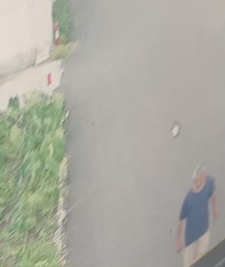 走失者照片 泰州市寻人：七旬老人走失，穿藏青色...