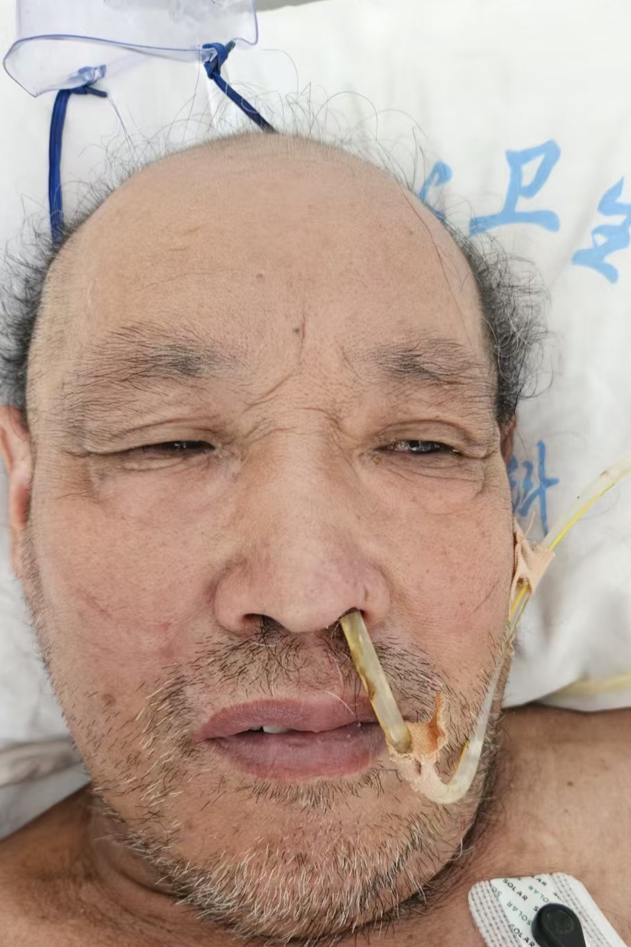 走失者照片 全国救助站