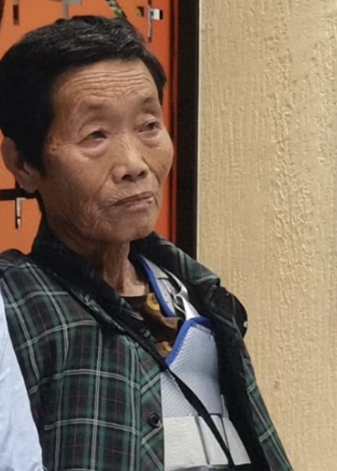 走失者照片 怀化市寻人：八旬老太走失，穿绿底格...