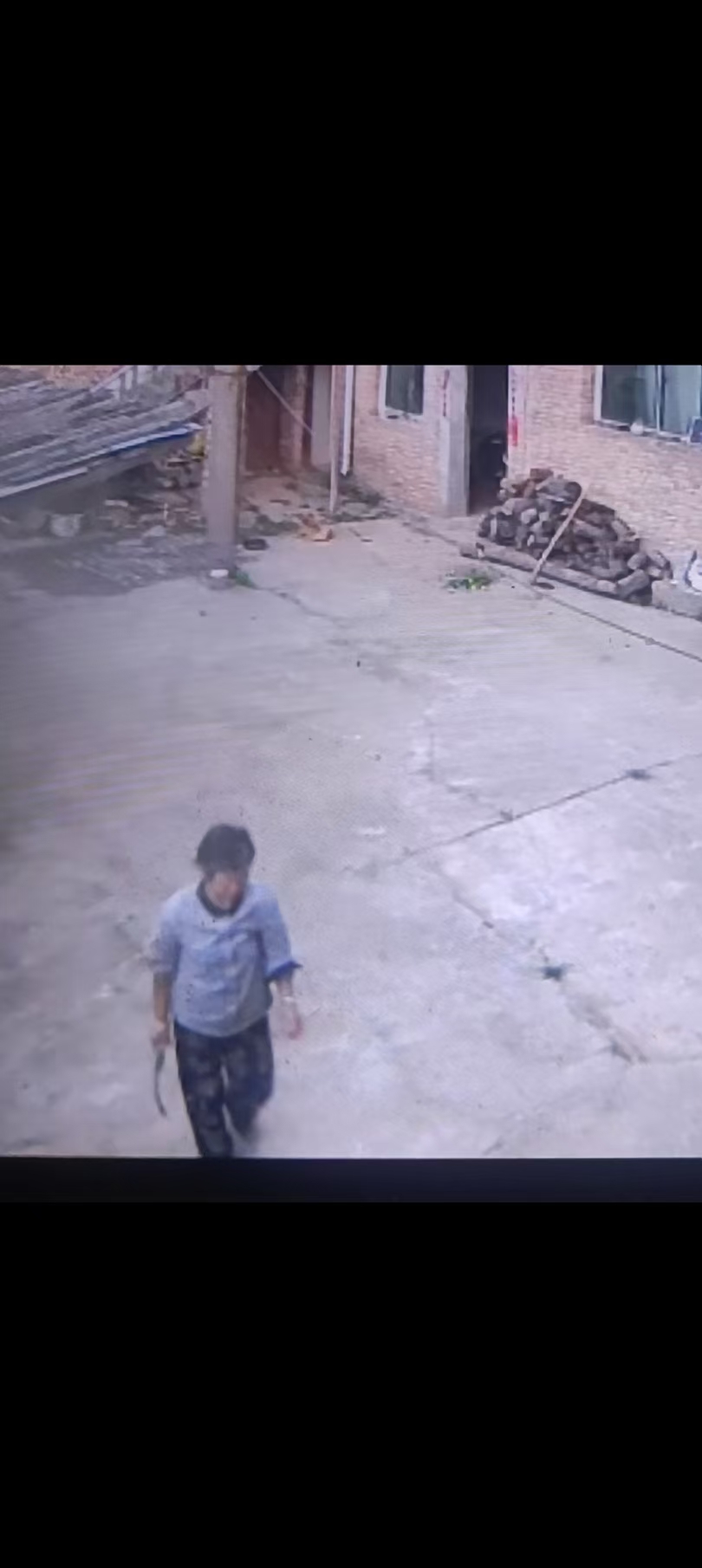 走失者照片 三门峡市寻人：六旬老太走失，患小脑...