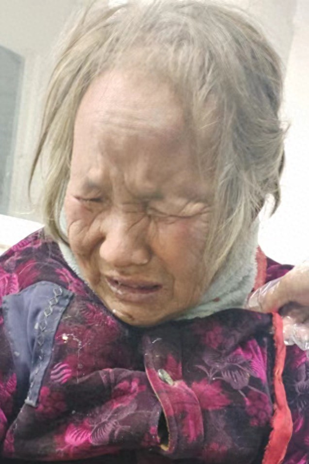 走失者照片 平顶山市寻亲：七旬老太被救助，穿红...