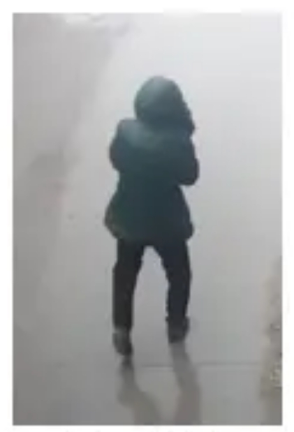 走失者照片 新乡市急寻：七旬老太走失，穿绿色棉...