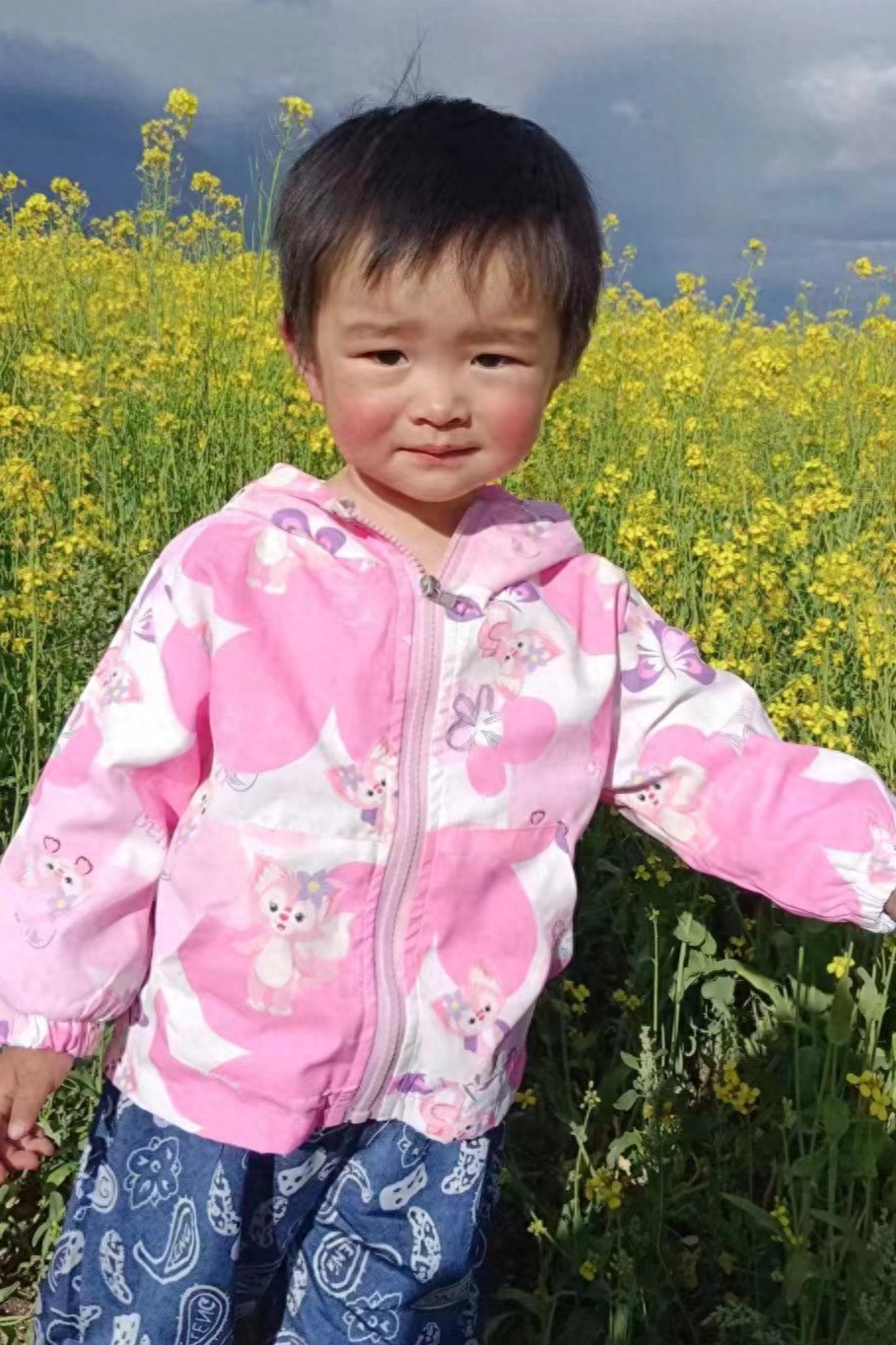 走失者照片 海北州寻亲：2岁女孩被救助多年，高...