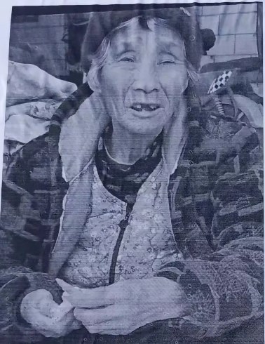 走失者照片 驻马店市急寻：八旬老太走失，戴粉色...