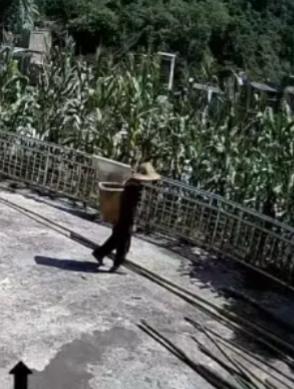 走失者照片 昭通市寻人：八旬老人走失，穿黑色长...