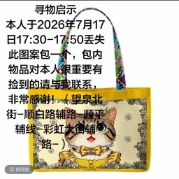 走失者照片 黄色小猫包