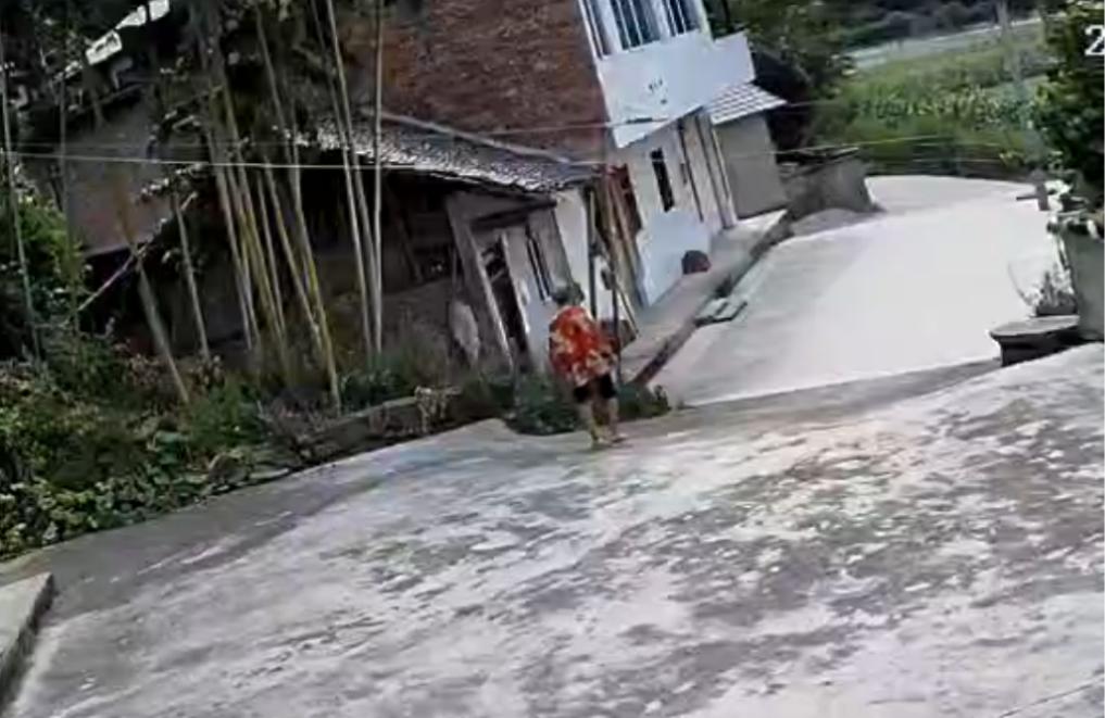 走失者照片 资阳市寻人：七旬老太走失，患小脑萎...