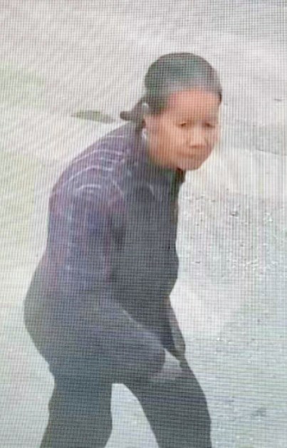 走失者照片 河池市急寻：八旬老太走失，穿紫色格...