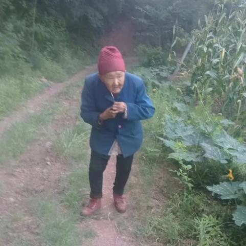 走失者照片 广元市寻人：七旬老太走失，穿红色外...