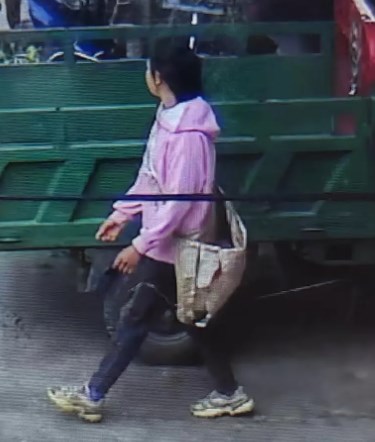 走失者照片 桂林市急寻：17岁女生失联，穿粉色...