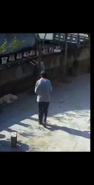 走失者照片 重庆市急寻：五旬男子走失，患智力障...