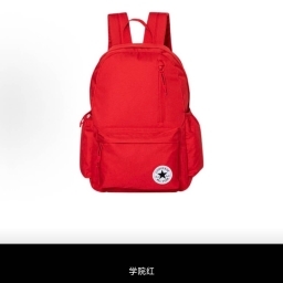 走失者照片 匡威书包