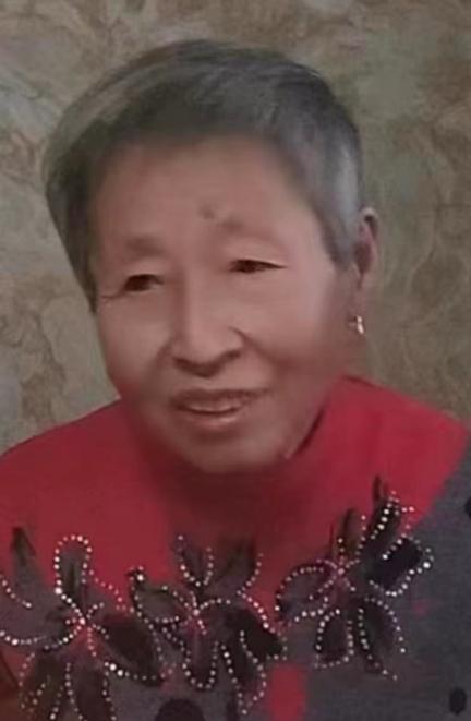 走失者照片 锦州市寻人：北镇市七旬老太走失，患...