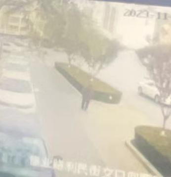 走失者照片 紧急寻人：银川市七旬聋哑老太失联，...