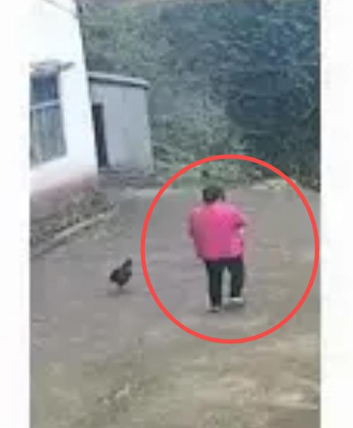 走失者照片 重庆市寻人：五旬女子走失，精神异常...