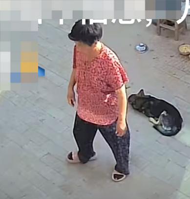 走失者照片 开封市急寻：六旬老太走失，轻微精神...