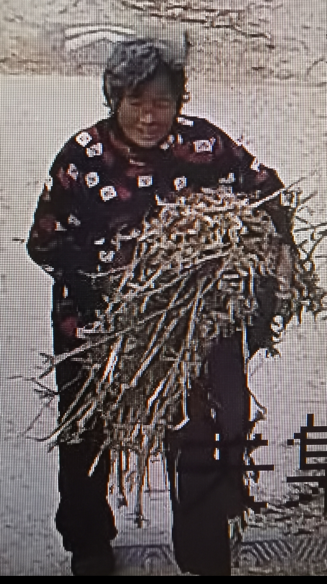 走失者照片 阜阳市急寻：八旬老太走失，高约1米...