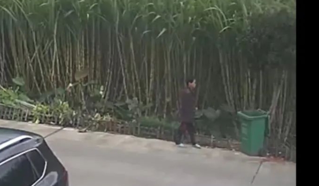 走失者照片 台州市温岭市急寻：六旬老太走失，穿...
