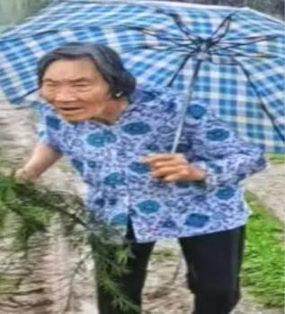 走失者照片 西安市寻人：七旬老太走失，患阿尔茨...