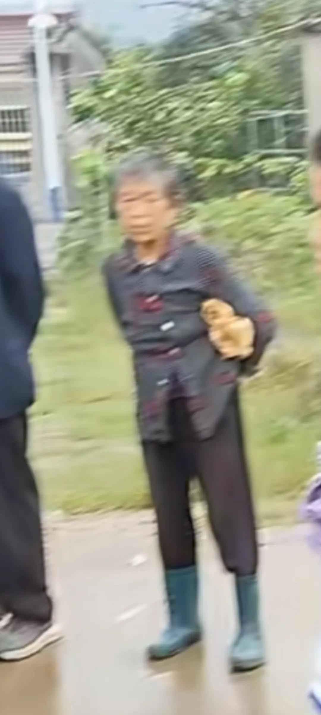 走失者照片 合肥市巢湖市急寻：七旬老太走失，高...