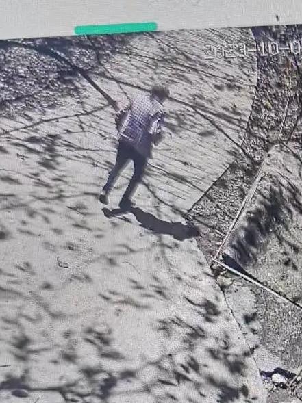 走失者照片 楚雄州寻人：六旬老太走失数日，穿花...